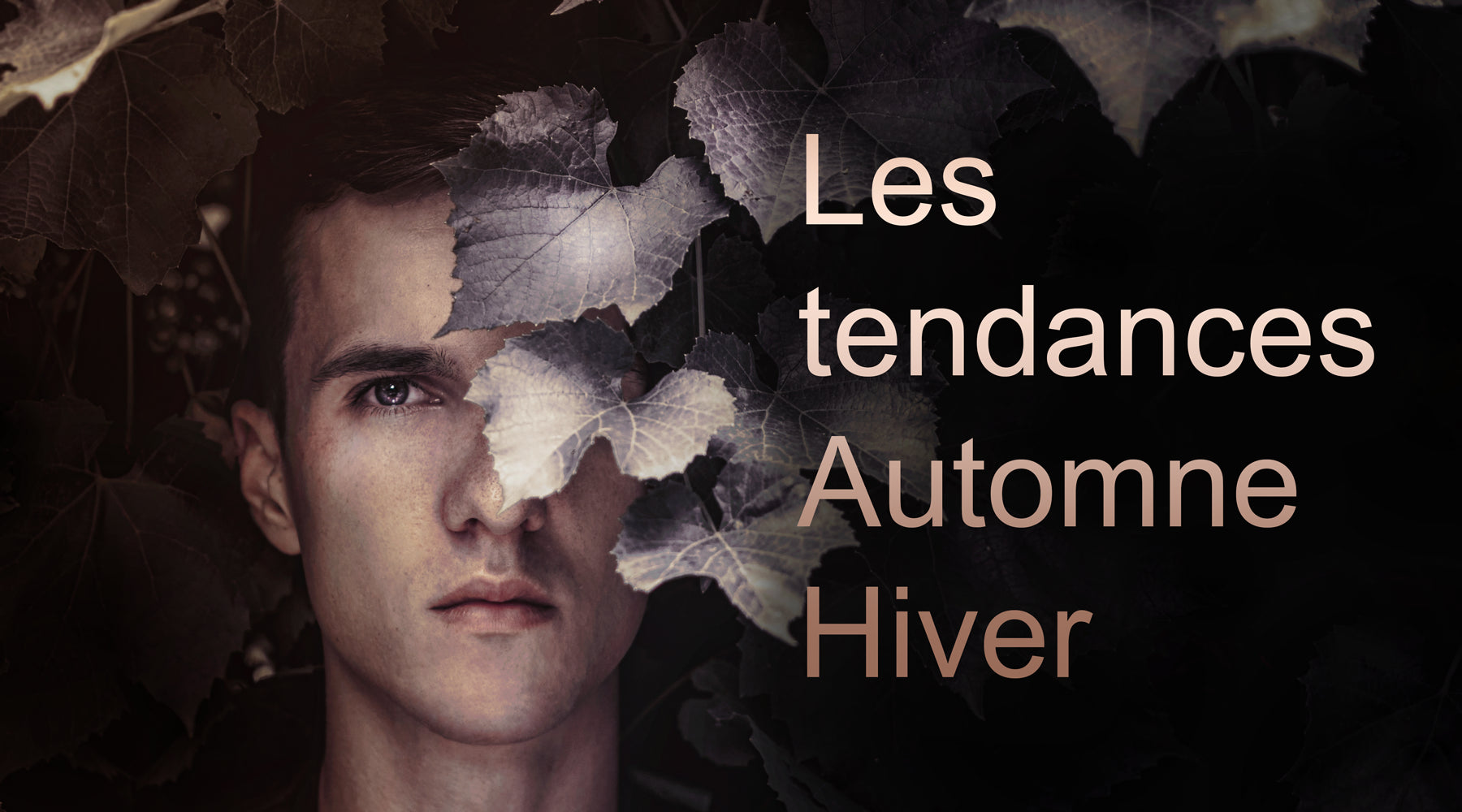Tendances coiffures